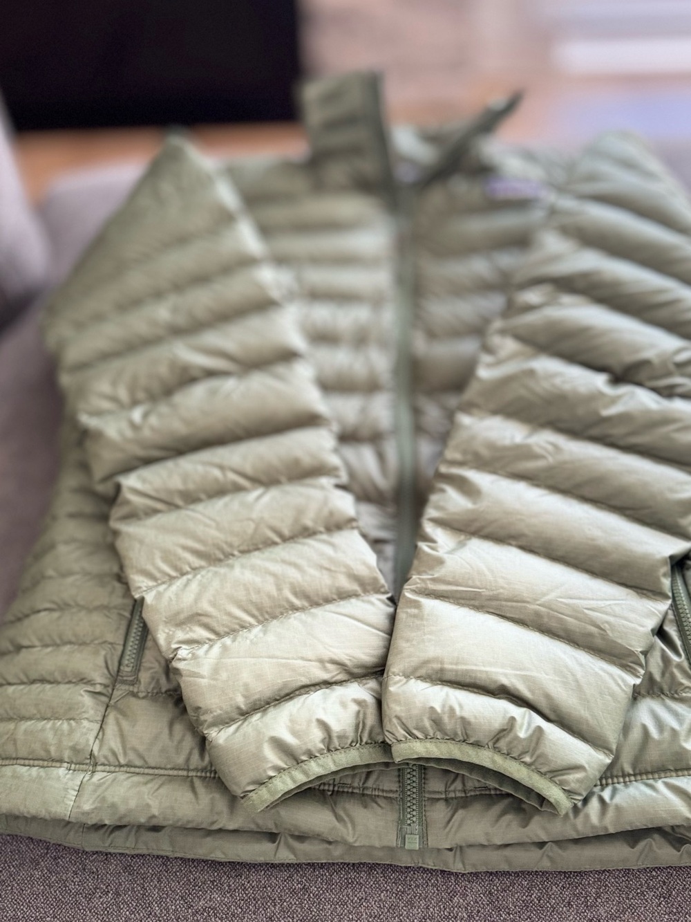 Patagonia Lightweight Puffer Jacket in Sage - Picture 4 of 9